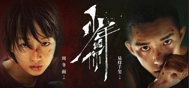 t-中国教师资格网学位证书核验不了